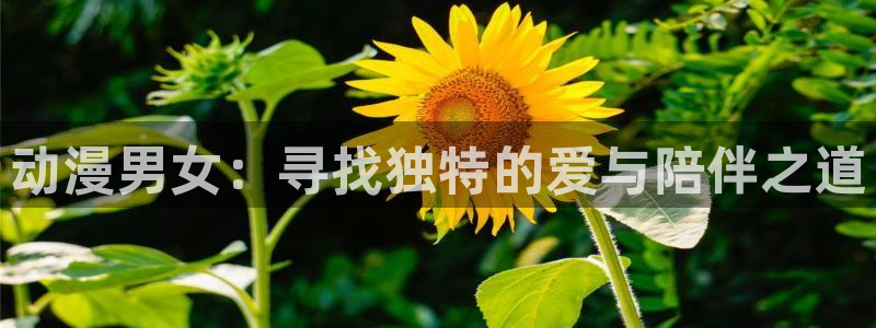 囧次元正版官网：动漫男女：寻找独特的爱与陪伴之道