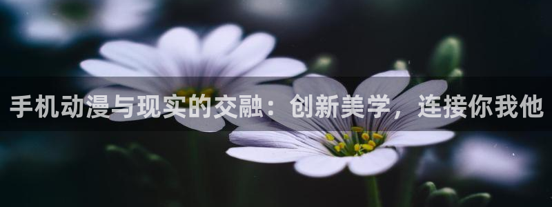 囧次元免费：手机动漫与现实的交融：创新美学，连接你我他