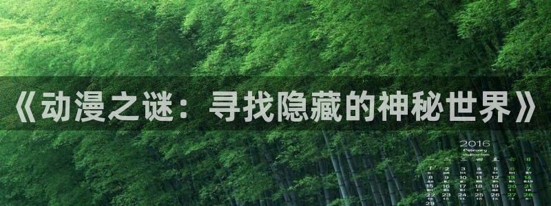 囧次元网址：《动漫之谜：寻找隐藏的神秘世界》