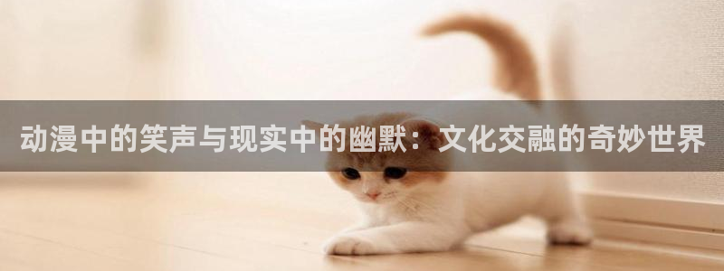 囧次元官方网站入口
