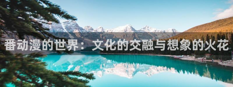囧次元官网官方入口：番动漫的世界：文化的交融与想象的火花
