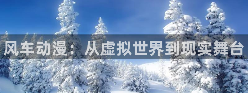 囧次元入口：风车动漫：从虚拟世界到现实舞台