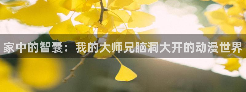 囧次元下载链接：家中的智囊：我的大师兄脑洞大开的动漫世界