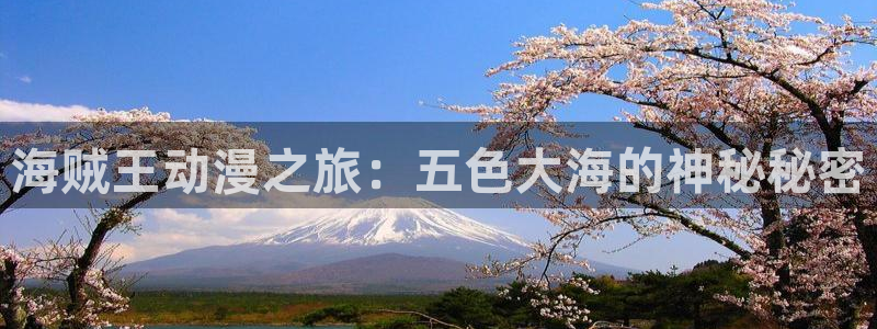 囧次元下载正版：海贼王动漫之旅：五色大海的神秘秘密