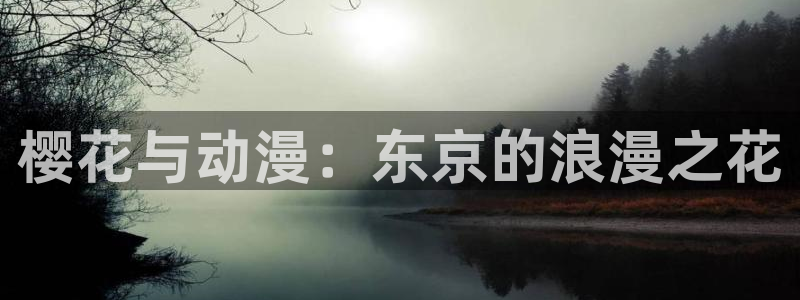 囧次元正版下载安装：樱花与动漫：东京的浪漫之花