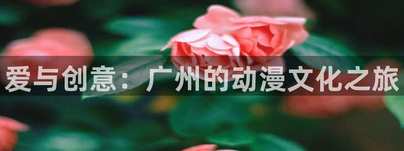 囧次元安卓版下载：爱与创意：广州的动漫文化之旅