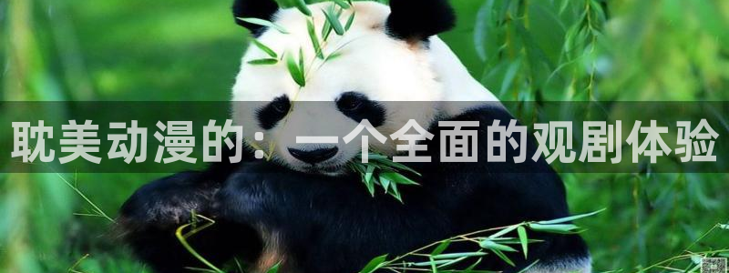 囧次元最新版下载：耽美动漫的：一个全面的观剧体验