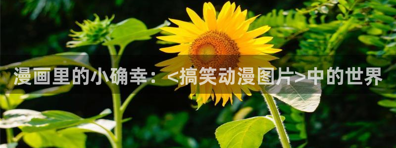 囧次元app下载动漫：漫画里的小确幸：<搞笑动漫图片>中的世界
