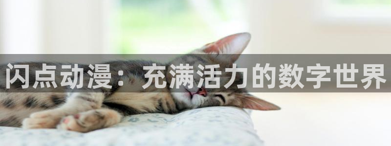囧次元app官方下载入口：闪点动漫：充满活力的数字世界