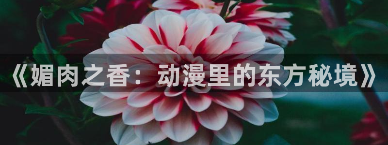 jcapp囧次元官网入口：《媚肉之香：动漫里的东方秘境》