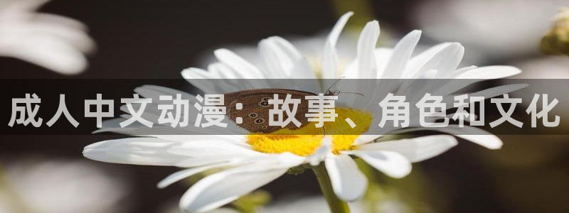 囧次元1：成人中文动漫：故事、角色和文化
