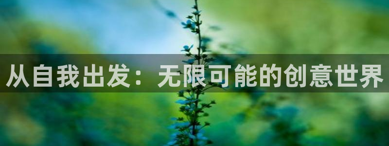 囧次元网页版入口