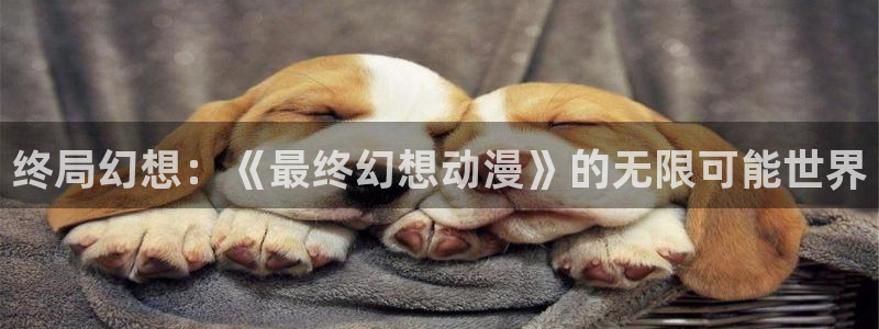 囧次元囧次元