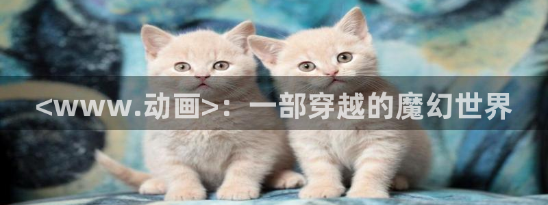 囧次元在线观看入口网址：<www.动画>：一部穿越的魔幻世界