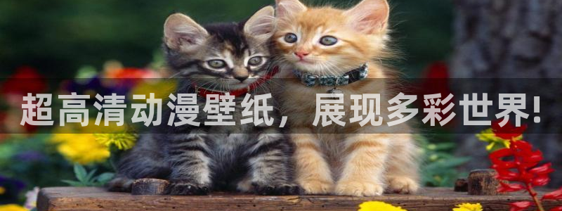 囧次元动漫app正版下载
