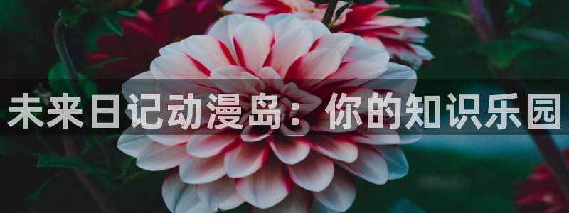囧次元最新版官方正版：未来日记动漫岛：你的知识乐园