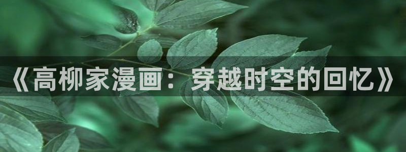 囧次元动漫app官网下载：《高柳家漫画：穿越时空的回忆》