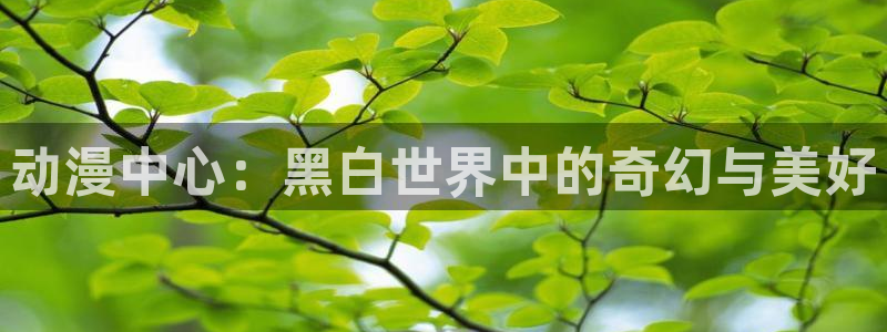 囧次元app官方：动漫中心：黑白世界中的奇幻与美好