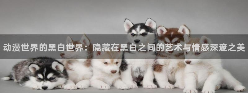 囧次元app最新：动漫世界的黑白世界：隐藏在黑白之间的艺术与情感深邃之美