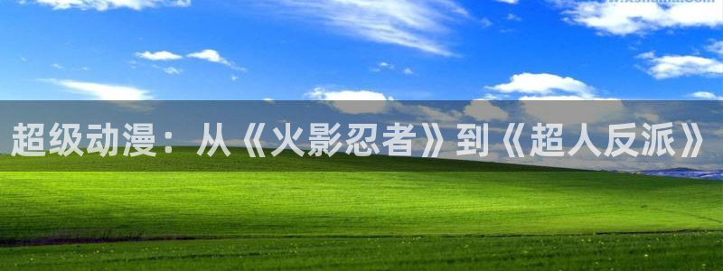 囧次元官网官网：超级动漫：从《火影忍者》到《超人反派》