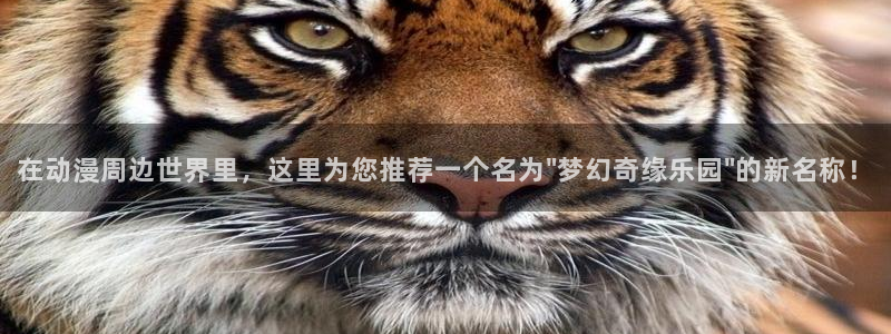囧次元无：在动漫周边世界里，这里为您推荐一个名为\