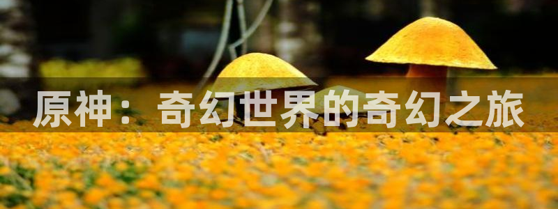 囧次元app下载官方正版：原神：奇幻世界的奇幻之旅