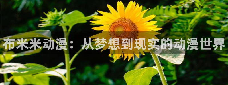 囧次元官方网站ios版本：布米米动漫：从梦想到现实的动漫世界
