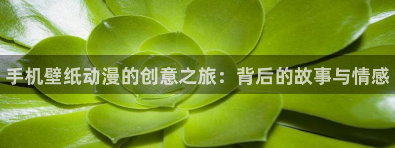 囧次元在线观看：手机壁纸动漫的创意之旅：背后的故事与情感