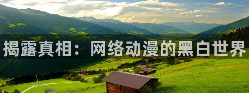 囧次元网页版入口网址：揭露真相：网络动漫的黑白世界