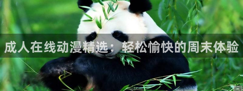 囧次元app下载入口最新版本：成人在线动漫精选：轻松愉快的周末体验