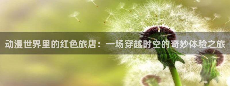 囧次元旧版：动漫世界里的红色旅店：一场穿越时空的奇妙体验之旅