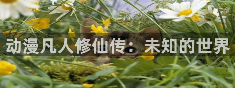 囧次元app下载官网最新版本：动漫凡人修仙传：未知的世界