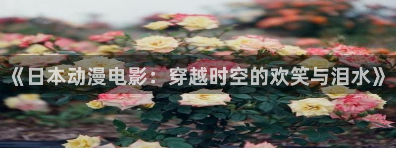 囧次元正版入口