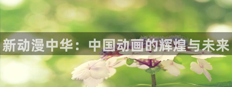 囧次元 下载：新动漫中华：中国动画的辉煌与未来