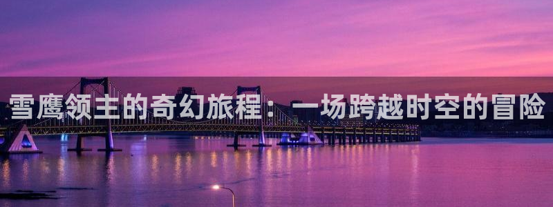 囧次元官方入口：雪鹰领主的奇幻旅程：一场跨越时空的冒险