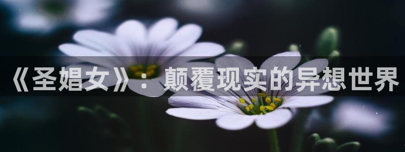 囧次元软件下载：《圣娼女》：颠覆现实的异想世界