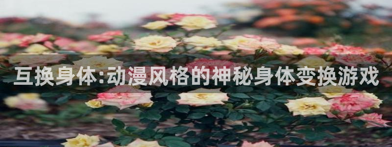 囧次元下载网站：互换身体:动漫风格的神秘身体变换游戏