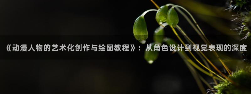 囧次元app下载动漫：《动漫人物的艺术化创作与绘图教程》：从角色设计到视觉表现的深度