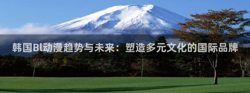 囧次元旧版：韩国Bl动漫趋势与未来：塑造多元文化的国际品牌