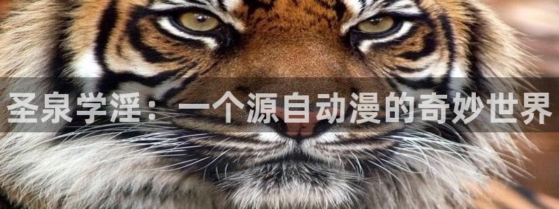 囧次元看动漫免费：圣泉学淫：一个源自动漫的奇妙世界