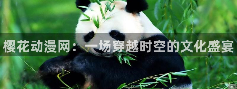 囧次元官网最新下载：樱花动漫网：一场穿越时空的文化盛宴