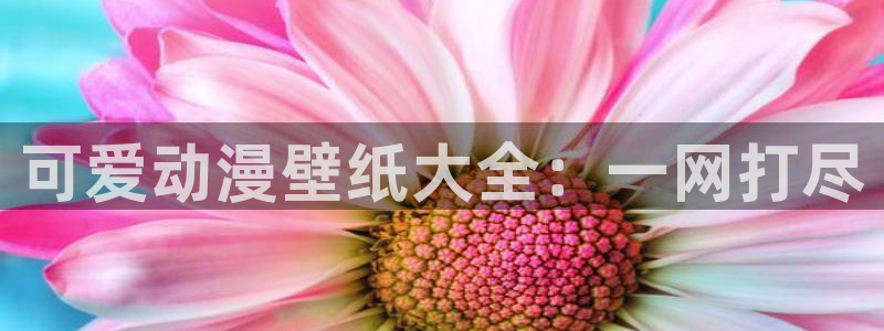 囧次元最新版本下载官方正版：可爱动漫壁纸大全：一网打尽