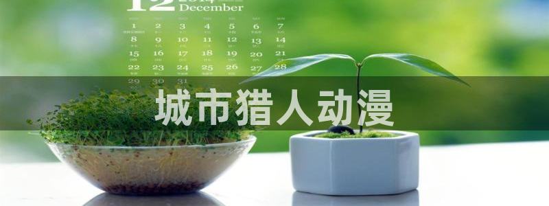 囧次元下载官方app：城市猎人动漫