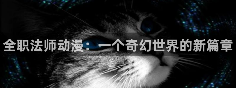 囧次元app下载官网最新版本：全职法师动漫：一个奇幻世界的新篇章