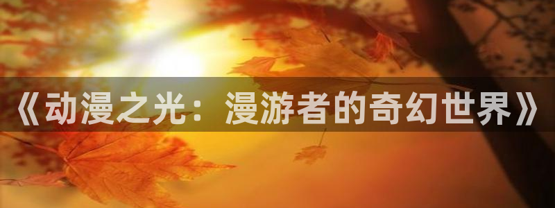 囧次元网站官网下载：《动漫之光：漫游者的奇幻世界》
