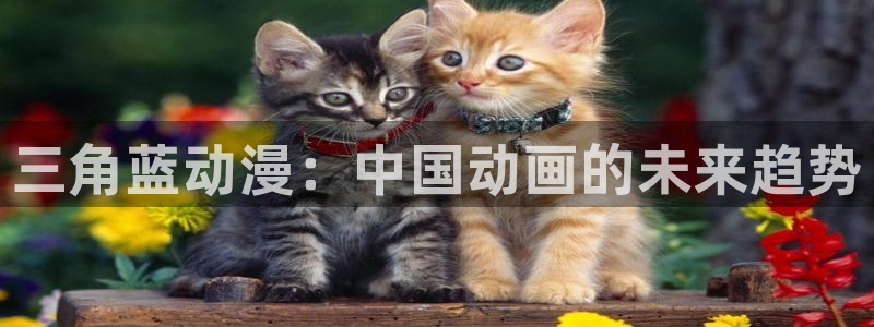 最新囧次元app下载：三角蓝动漫：中国动画的未来趋势