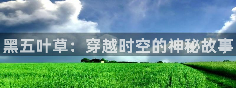 囧次元下载最新：黑五叶草：穿越时空的神秘故事