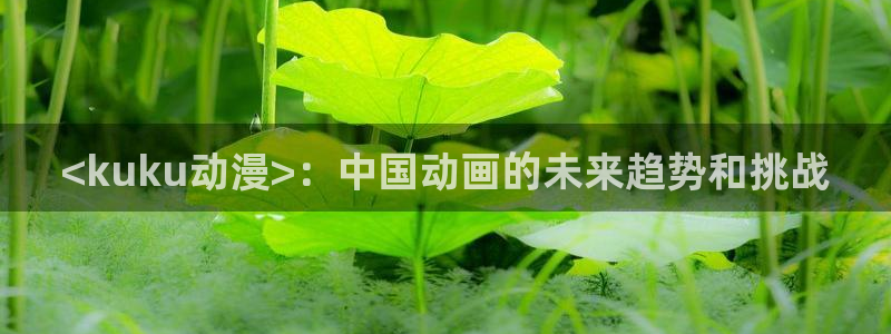 囧次元大全：<kuku动漫>：中国动画的未来趋势和挑战