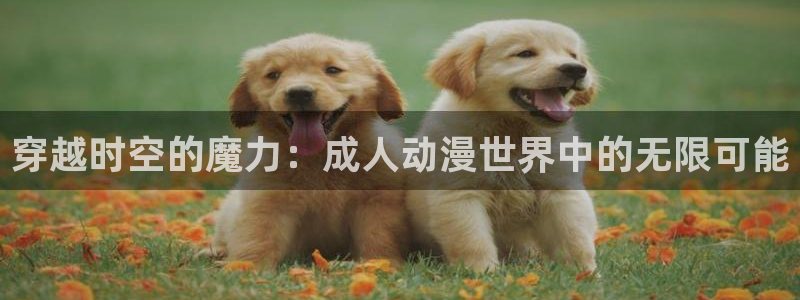 囧次元看动漫免费：穿越时空的魔力：成人动漫世界中的无限可能