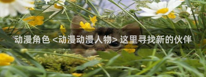 囧次元app官网：动漫角色 <动漫动漫人物> 这里寻找新的伙伴